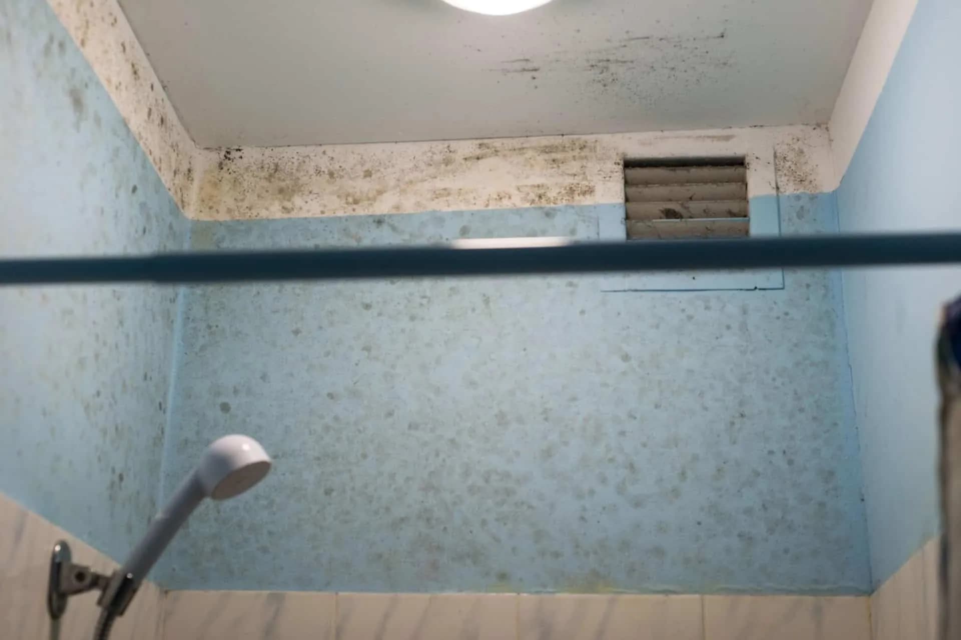 Water damage on bathroom walls caused by a plumbing rough in error
