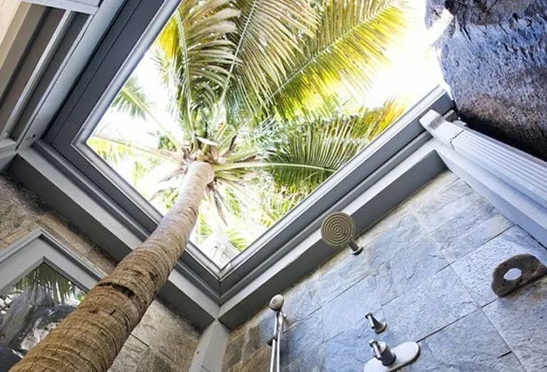 Shower beside a palm tree in Tortola