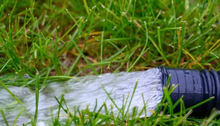 Close-up of a sump pump discharge hose directing water away from the house