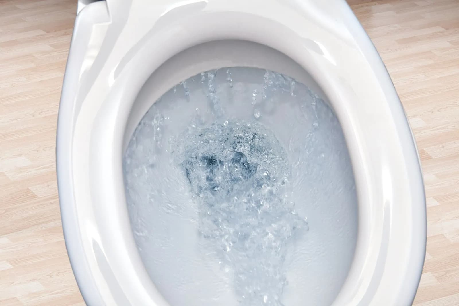 Closeup of a brand new toilet in a home for sale