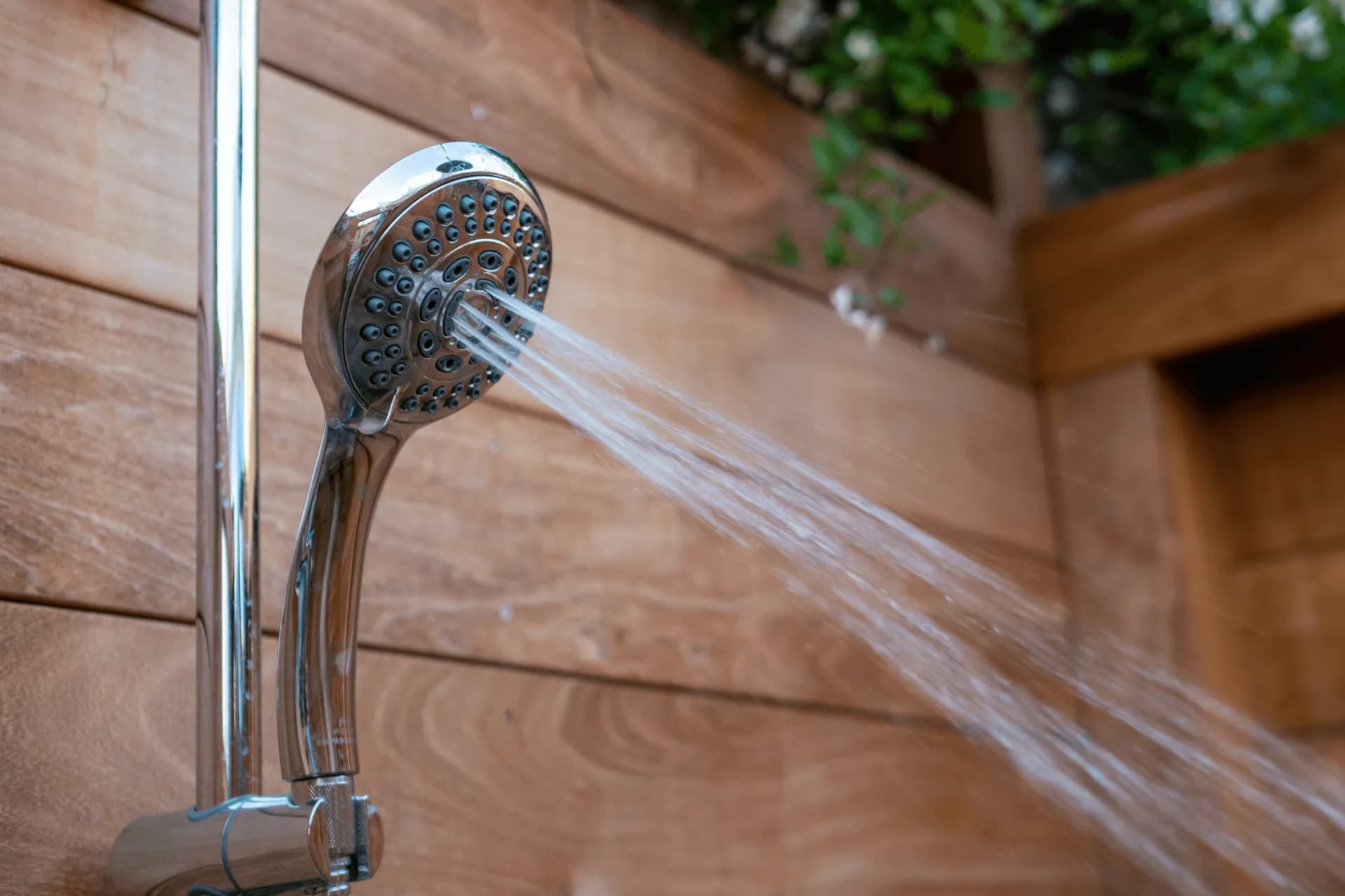 Water running from a showerhead with plants in the background