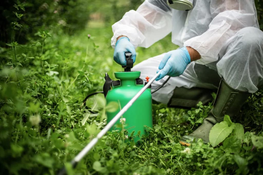 A person spraying pesticides in a field of grass