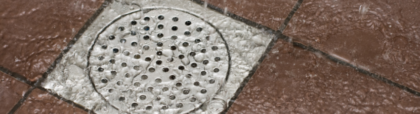 A functioning shower drain that was recently installed