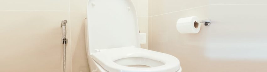 How To Fix A Loose Toilet Seat - PlumbWize